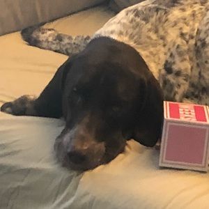 Meet your Posher, Tracy